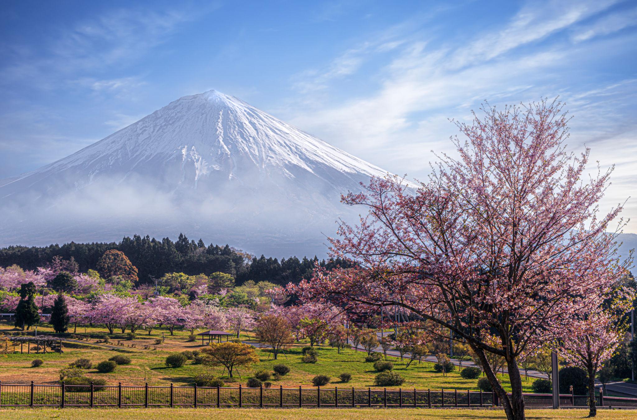 Lake Kawaguchiko shoreline with Mount Fuji reflection