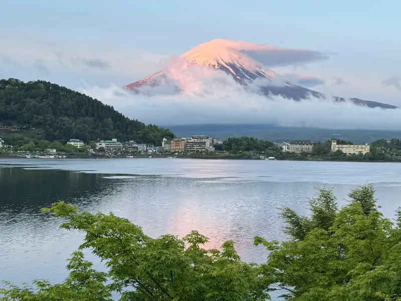 Mount Fuji at sunset with pink light from Kawaguchiko